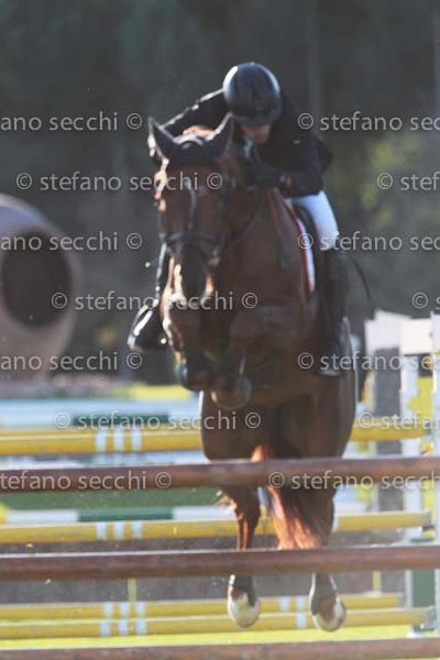 FRANA_ARCJBALDO_GIO CAV 2011_(824) SS3_3101.jpg